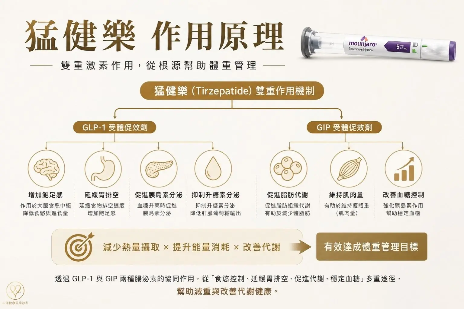 猛健樂作用原理