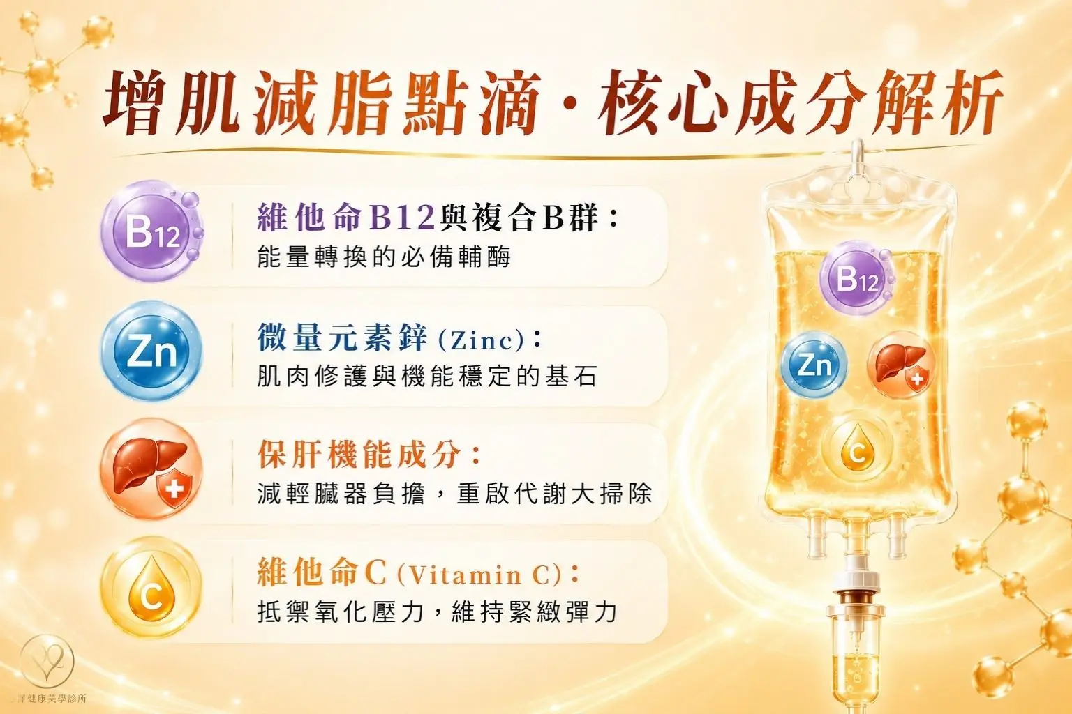 打造高效運轉底子！增肌減脂點滴．核心成分解析