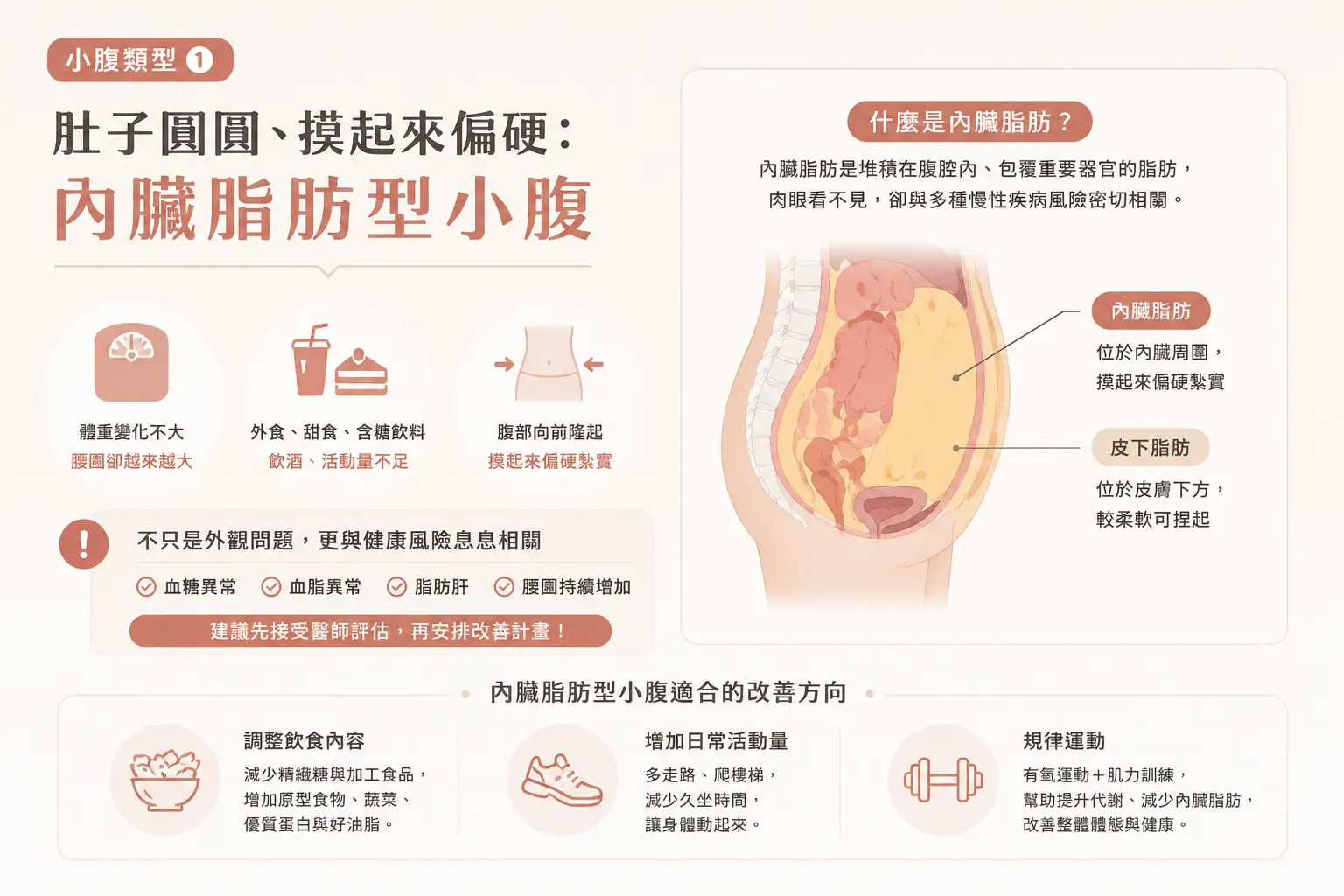 肚子圓圓、摸起來偏硬：內臟脂肪型小腹