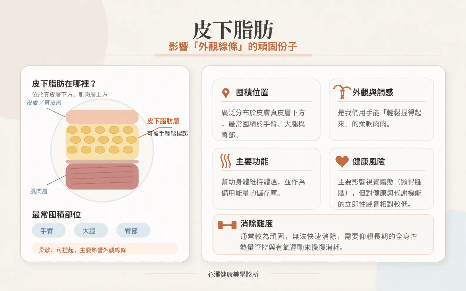 皮下脂肪(影響「外觀線條」的頑固份子)