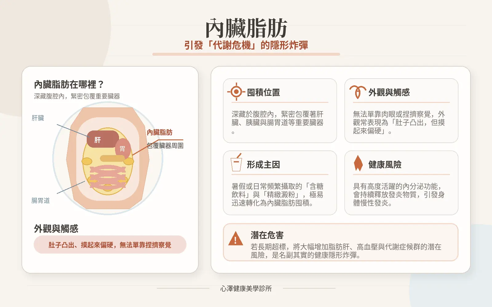 2. 內臟脂肪(引發「代謝危機」的隱形炸彈)