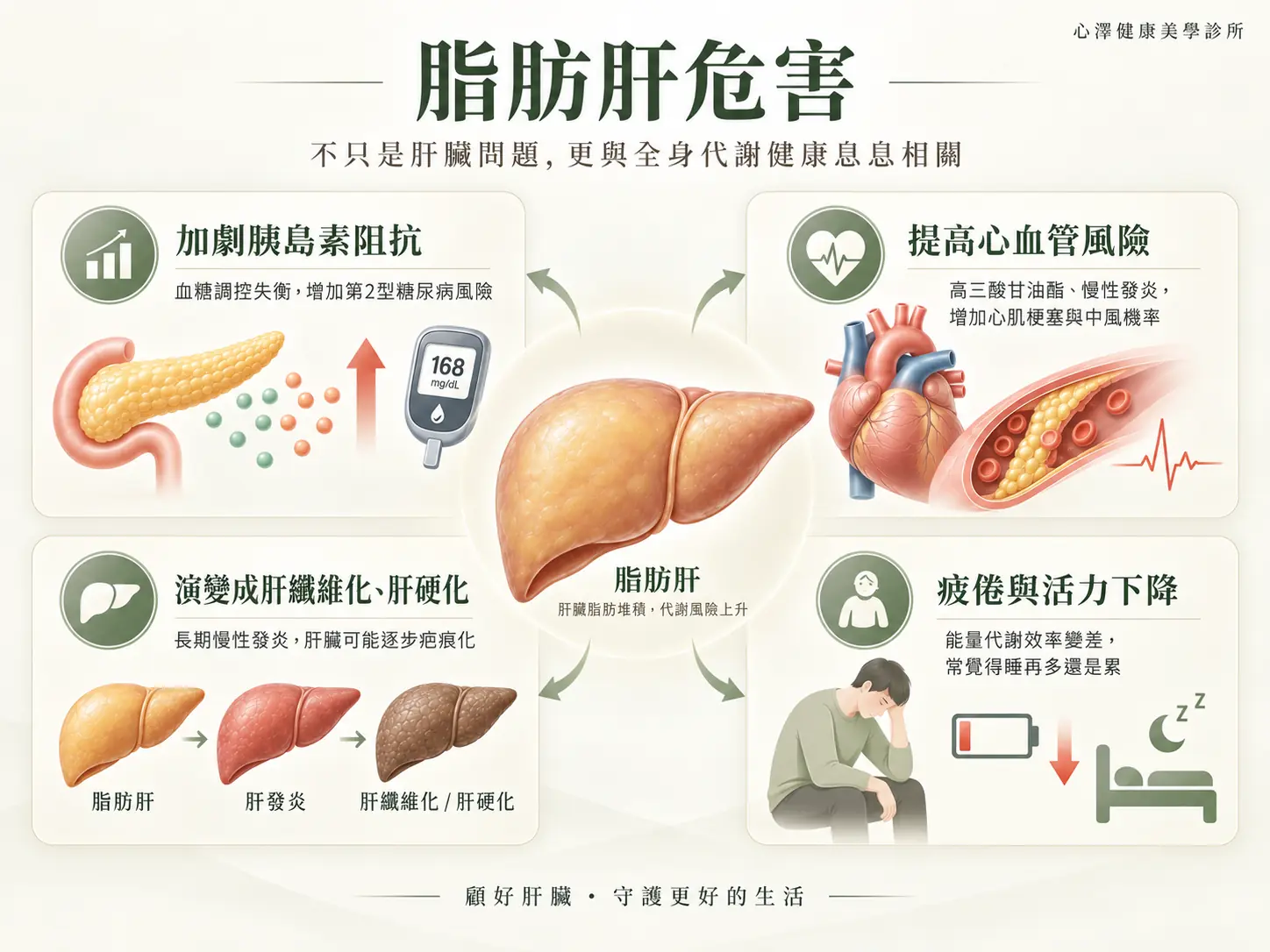 脂肪肝危害：從肝臟發炎到糖尿病與全身代謝受損
